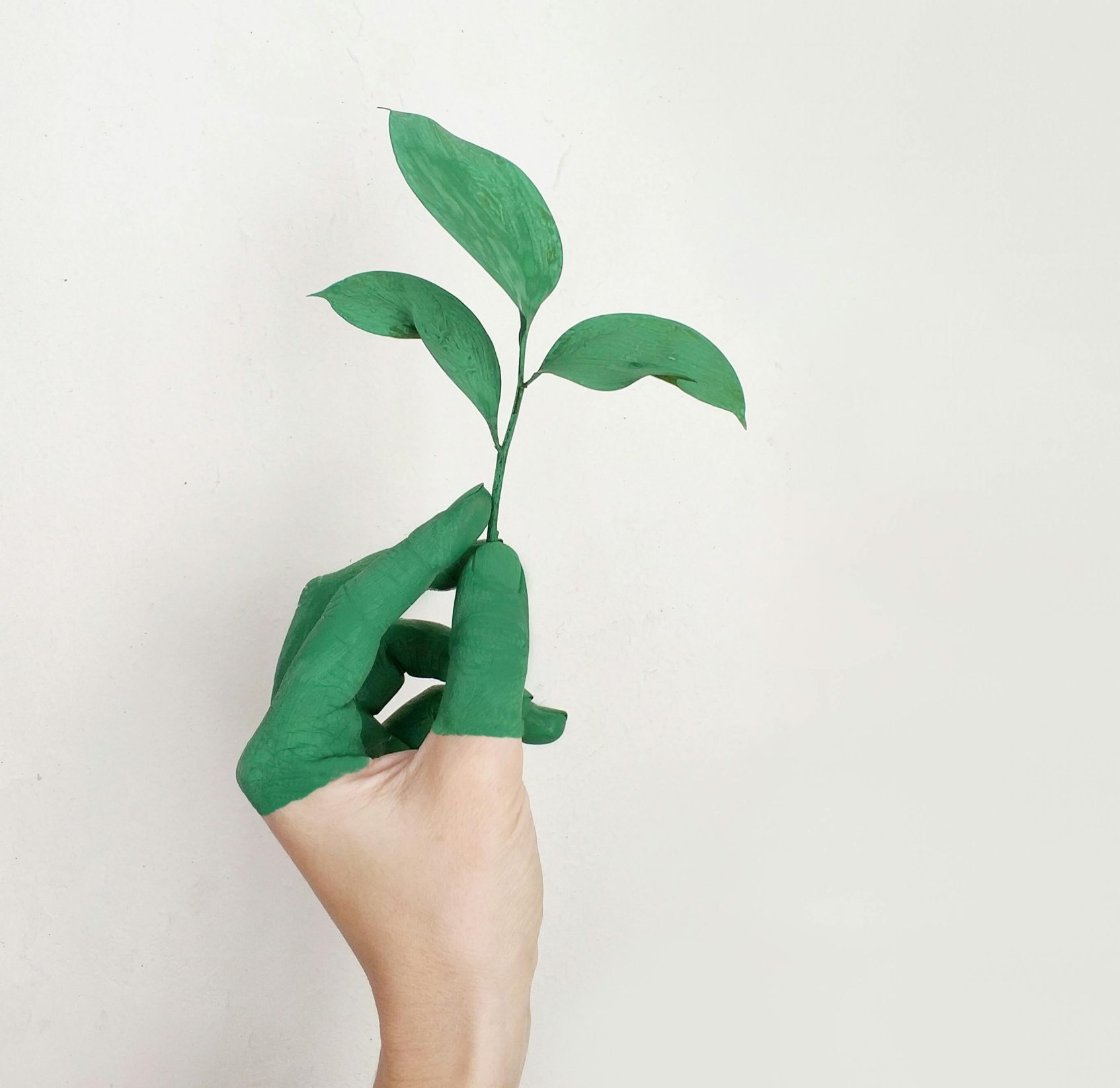 A hand painted green holds a fresh plant sprout against a light background, symbolizing growth and sustainability.